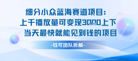 小众蓝海赛道项目:当天变现1k+适合新手操作 +适合长期玩-木木云网创