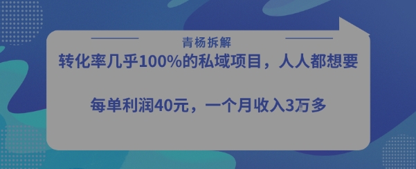 转化率最高的私域项目,每单利润40-50米,月入过1w-木木云网创