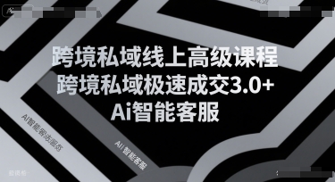 跨境私域线上高级课程，跨境私域极速成交3.0+Ai智能客服-木木云网创