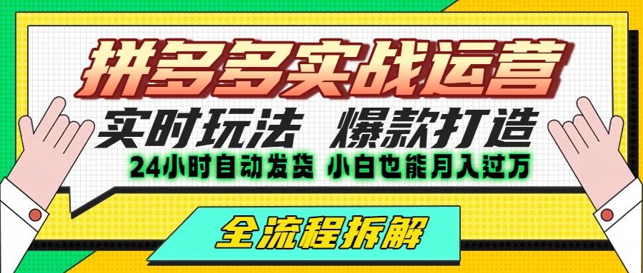 拼多多最新实战运营高投产：长久稳定项目，单店利润一天三位数-木木云网创