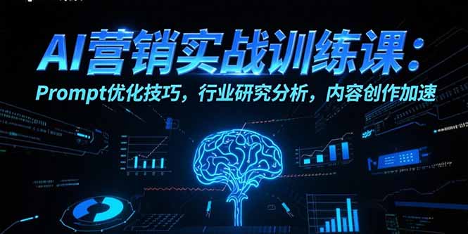 AI营销实战训练课：Prompt优化技巧，行业研究分析，内容创作加速-木木云网创