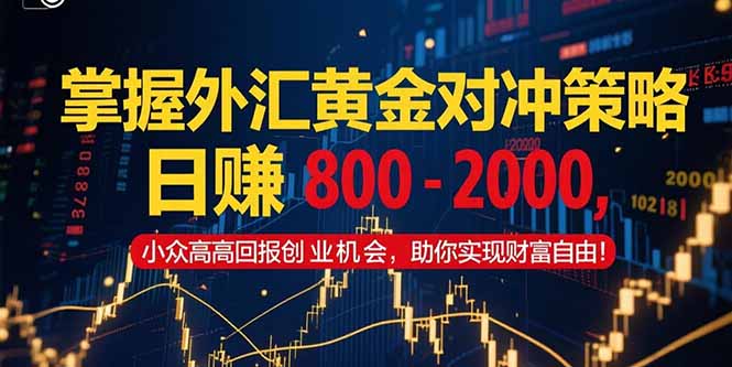 掌握外汇黄金对冲策略，日赚 800 – 2000，小众高回报创业机会，助你实…-木木云网创