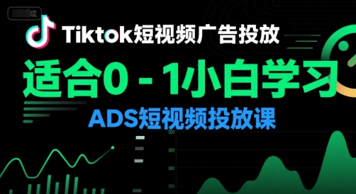 Tiktok短视频广告投放，适合0-1小白学习ADS短视频投放课-木木云网创