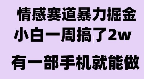 情感暴力掘金项目，新人操作一周挣了2W，长期稳定小白可做【揭秘】-木木云网创