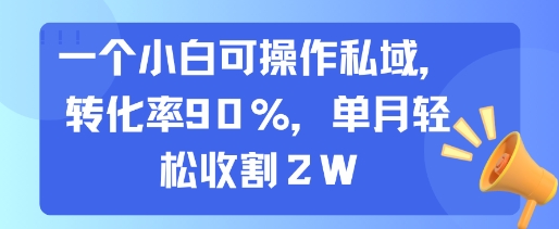 一个小白可操作私域，转化率90%，单月轻松收割2W-木木云网创