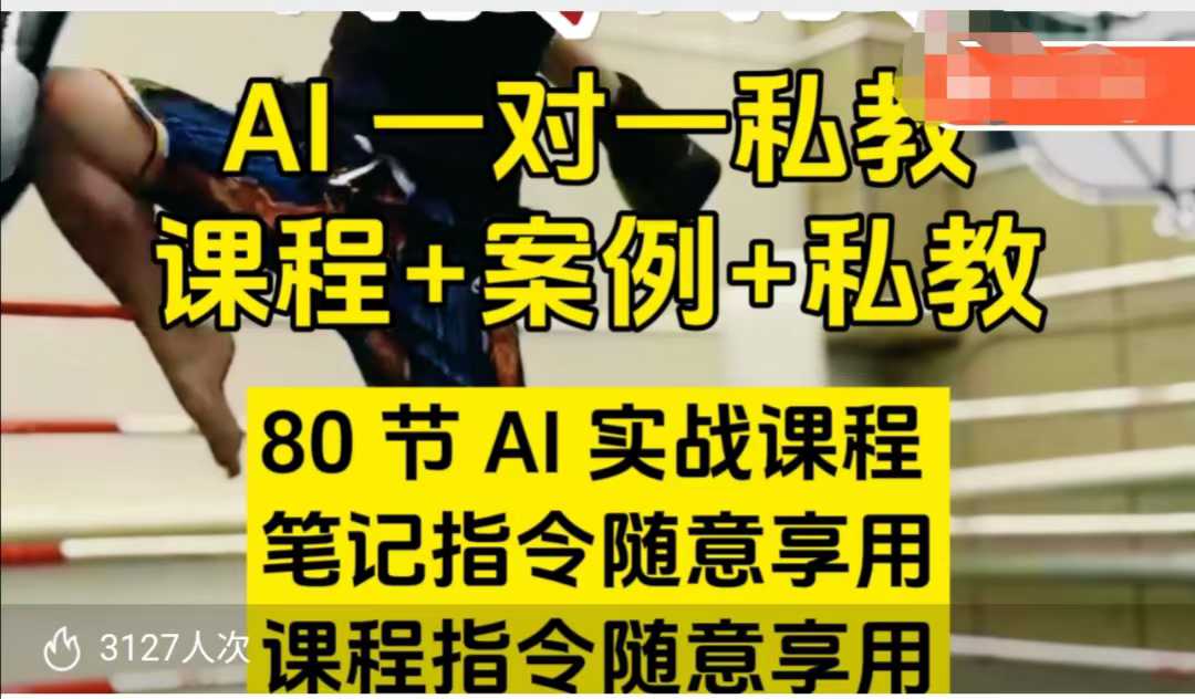 AI指令实战课,课程+案例,80节AI实战课程,笔记指令随意享用,课程指令随意享用(更新7月)-木木云网创